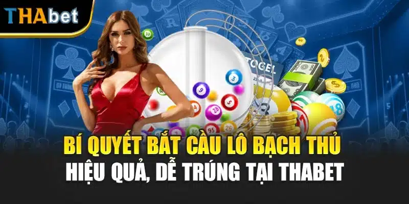 Bí Quyết Bắt Cầu Lô Bạch Thủ Hiệu Quả, Dễ Trúng Tại ThaBet