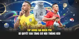 Tip Bóng Đá Miễn Phí – Bí Quyết Gia Tăng Cơ Hội Thắng Kèo